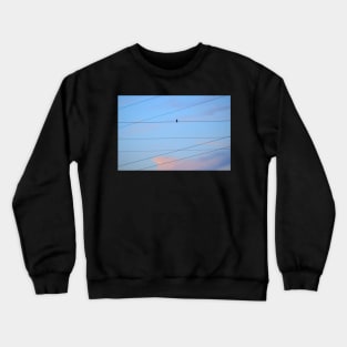 Crested Cloud, Wires and Bird Crewneck Sweatshirt